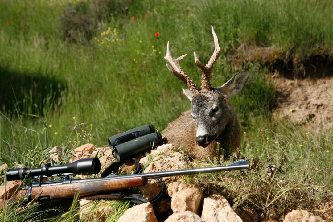 CANGAS.- Apoyo a los concejos con reservas regionales de caza