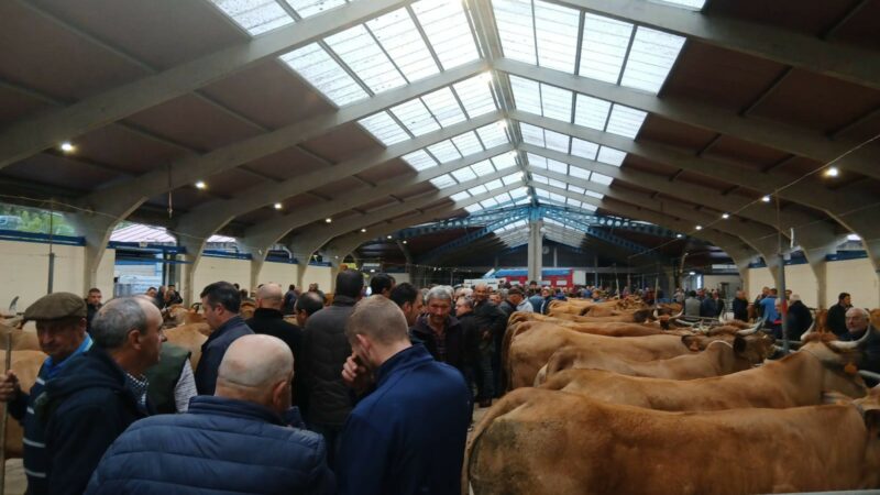 CANGAS DEL NARCEA celebra su Feria de Ramos