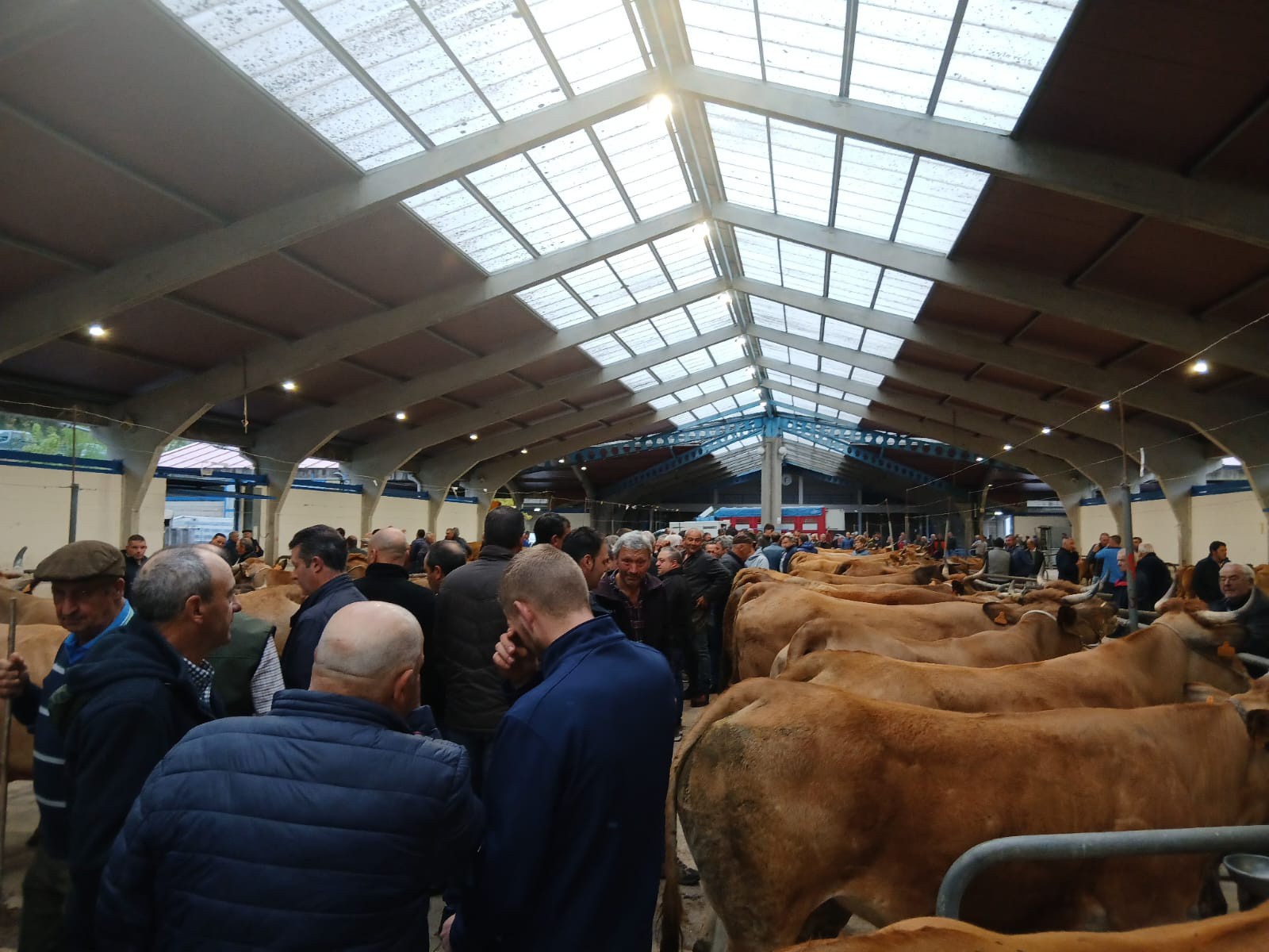 CANGAS DEL NARCEA celebra su Feria de Ramos