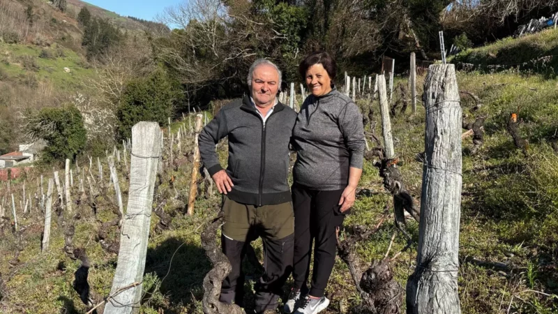 CANGAS DEL NARCEA.- La Fiesta del Trasiego muestra su reconocimiento a Evaristo y Alicia