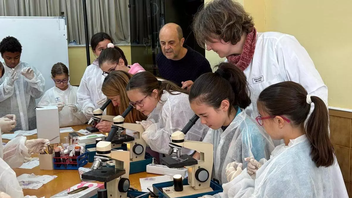 CANGAS DEL NARCEA.- De aulas a laboratorios