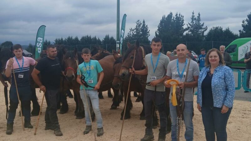 TINEO.- Lucera, Negro, Brenda y Moro grandes ganadores del XXI Concurso de Caballos de Pasto
