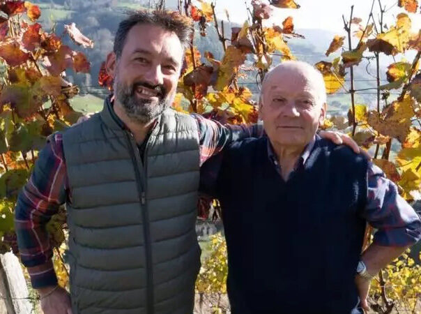 CANGAS DEL NARCEA.- Dos vinos de la DOP premiados con Medalla de Oro en Italia