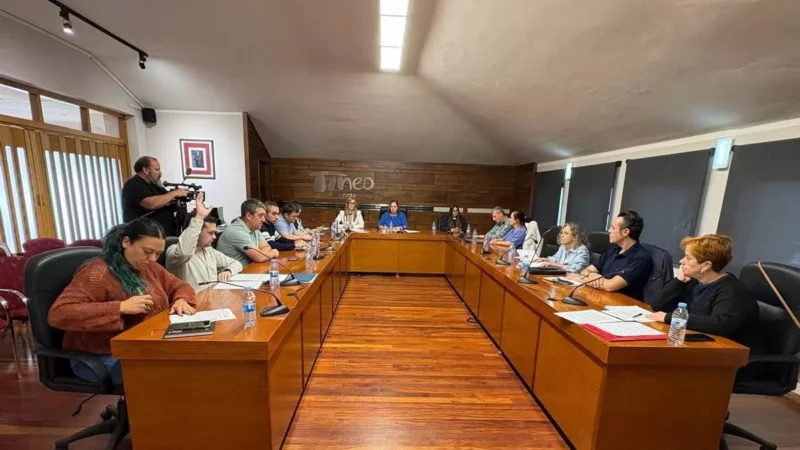 TINEO aprueba de nuevo sus presupuestos